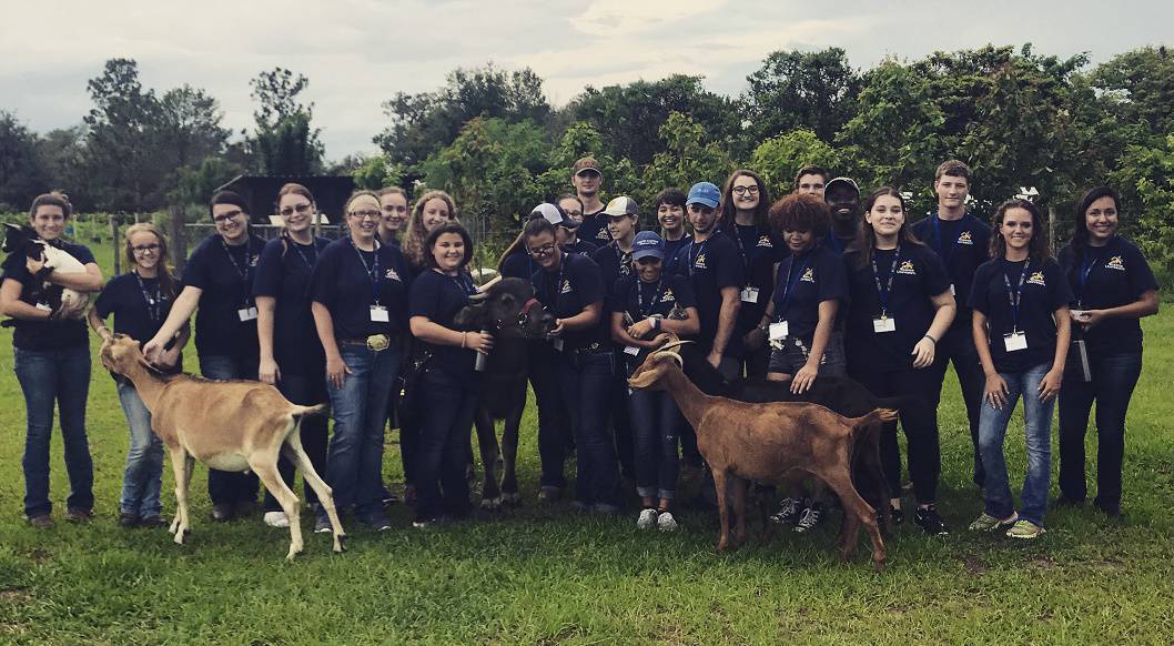 Warner University Summer Ag Camp