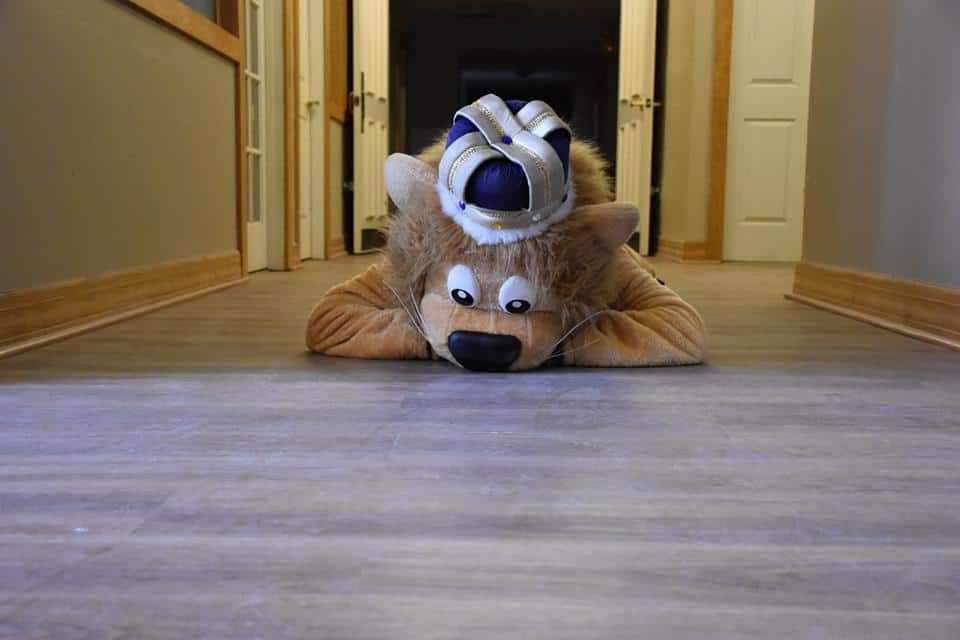 Have You Seen Duke?