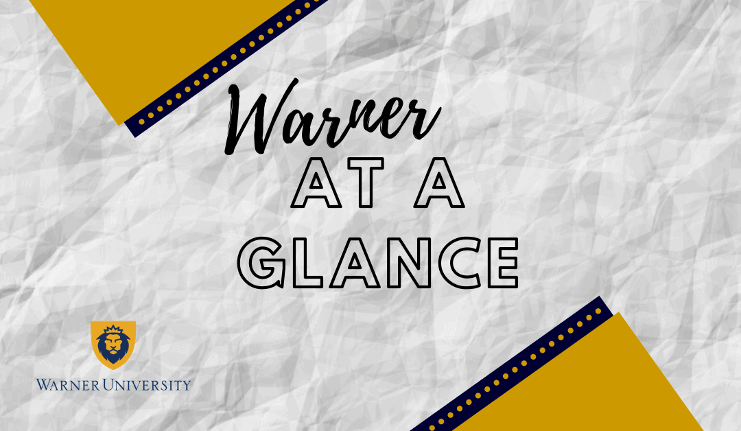 Warner At a Glance 2020